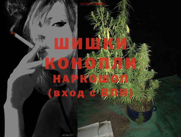 бошки Алексин