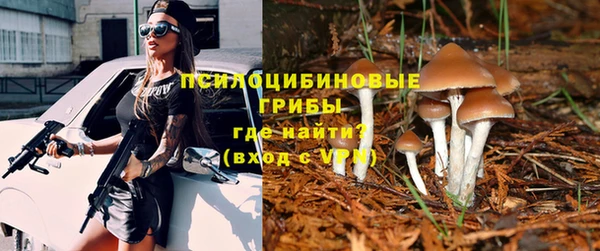 spice Ладушкин