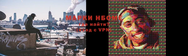 бошки Алексин