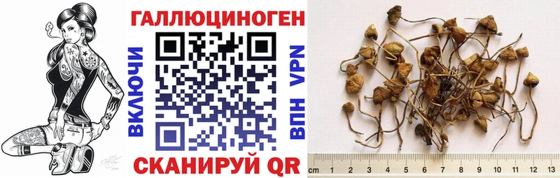 это формула  Тырныауз  Псилоцибиновые грибы GOLDEN TEACHER  купить  сайты  кракен зеркало 